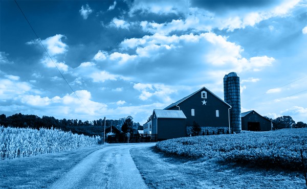 Rural farm surrounded by corn fields