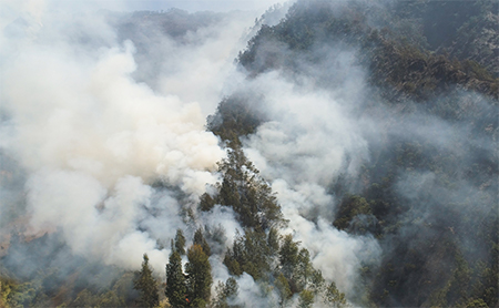 Aerial view of smoke in a forest from a wildfire